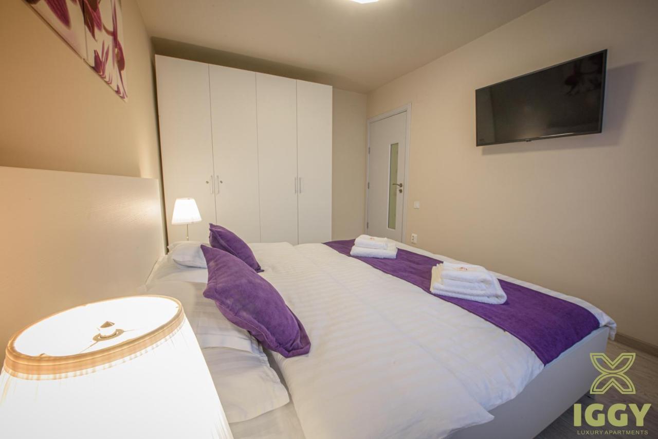 Iggy Luxury Apartment Hunedoara Extérieur photo