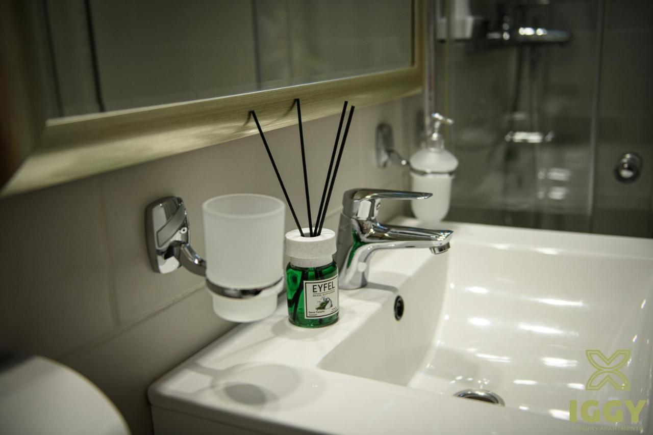 Iggy Luxury Apartment Hunedoara Extérieur photo