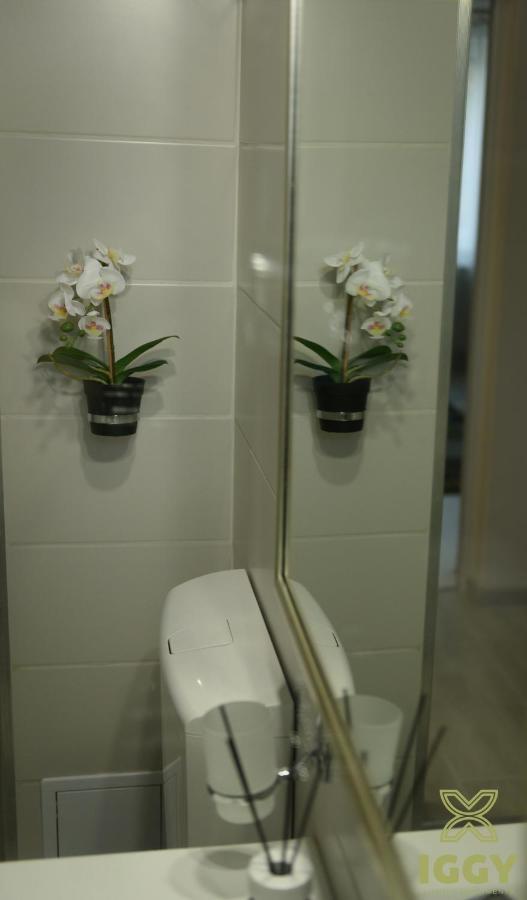 Iggy Luxury Apartment Hunedoara Extérieur photo